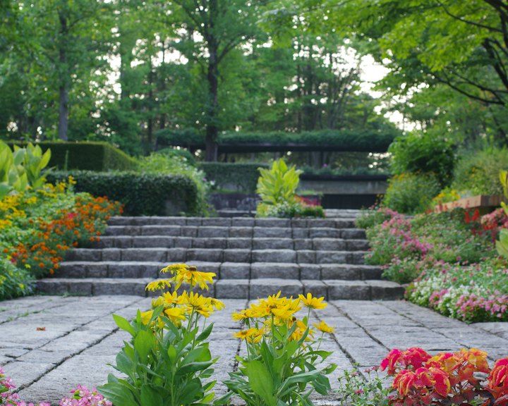 Stone steps and a patio surrounded by colorful planting